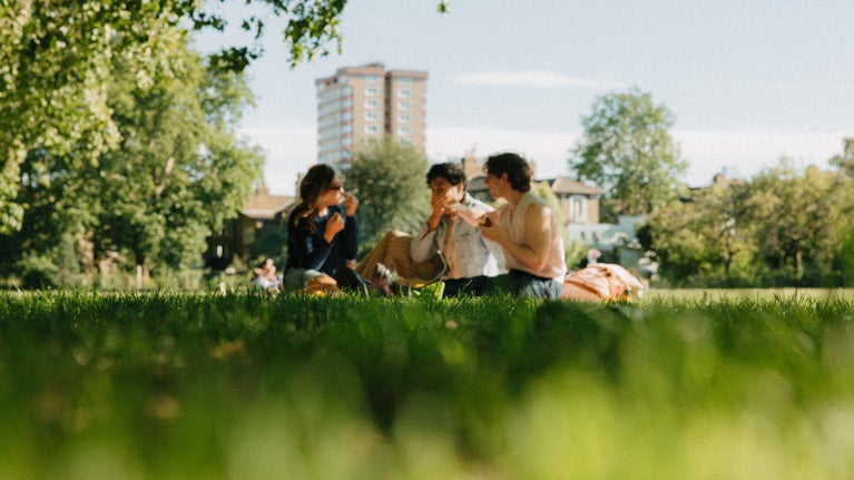 Friends enjoying a picnic in the park